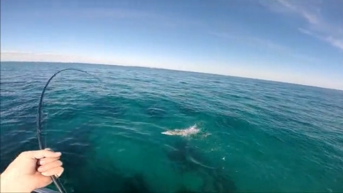 Fisho's Scott Thomas filming Bushy talking about Squidgy's new prawn lures.